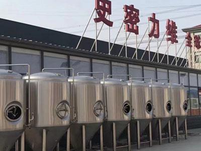 东宝精酿啤酒设备厂—市场规模与跨界新需求